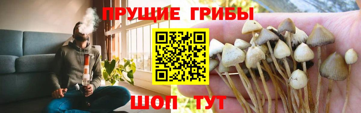Галлюциногенные грибы Psilocybe  Вход с VPN  Галлюциногенные грибы Magic Shrooms  Ухта 